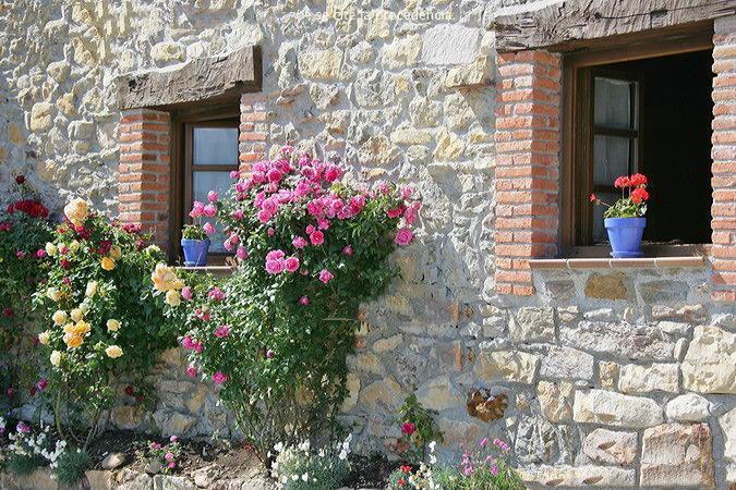 La Xica Ll Guest House Beceña Exterior foto